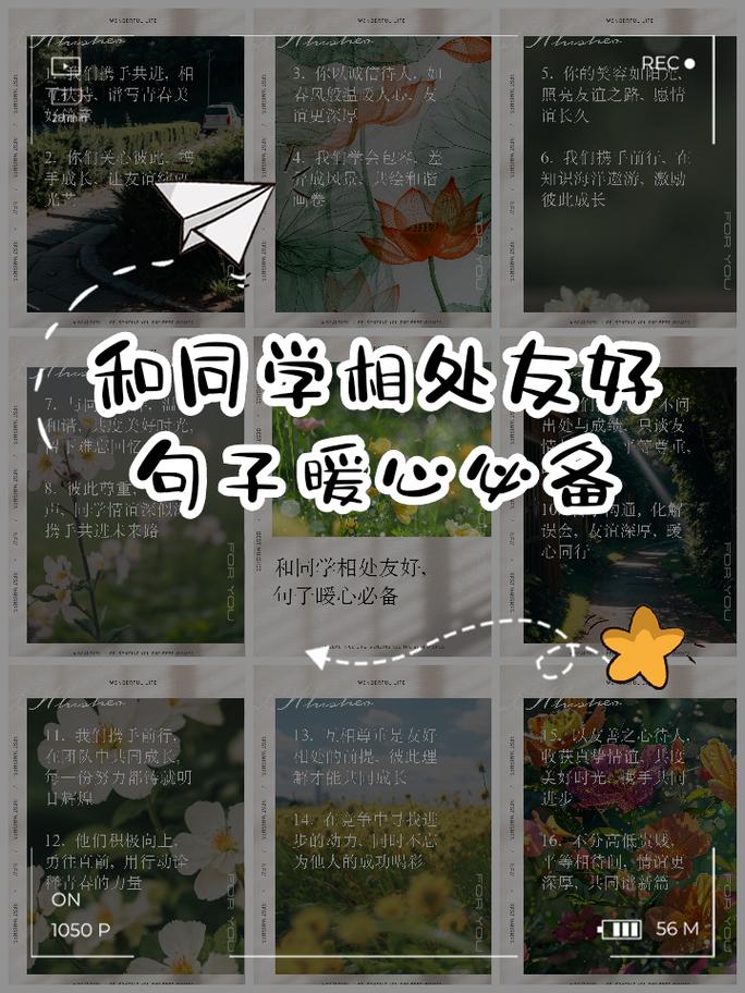 同伴名言，同伴的名言-图2