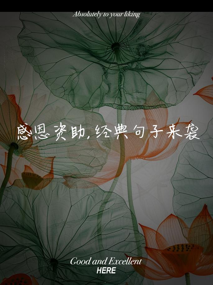 捐款的名言,捐款的名言名句-图2 捐款的名言,捐款的名言名句-图2