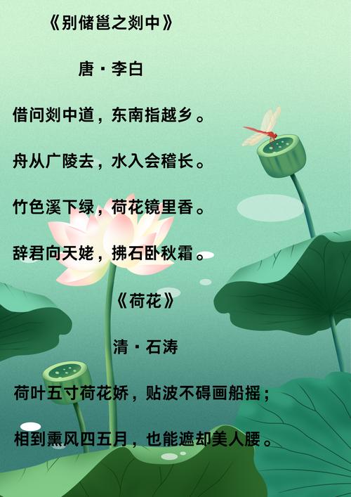 现代诗歌荷，现代诗歌荷花-图1