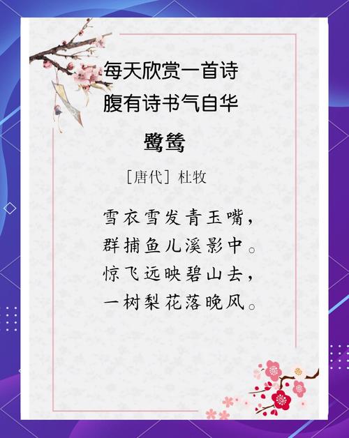 爱鸟的诗歌,关于爱鸟的诗歌-图3 爱鸟的诗歌,关于爱鸟的诗歌-图3