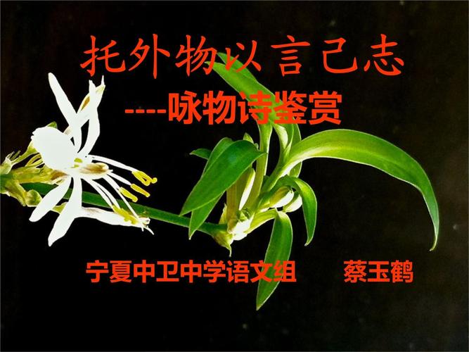 咏物诗歌鉴赏,咏物诗歌鉴赏课件-图1 咏物诗歌鉴赏,咏物诗歌鉴赏课件-图1