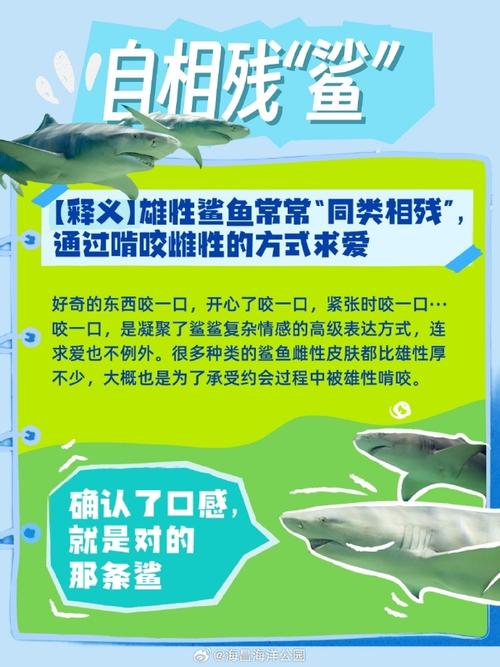 鲨鱼名言,鲨鱼名言名句-图1 鲨鱼名言,鲨鱼名言名句-图1