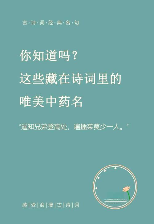 学药的名言,关于药学的名言警句-图2 学药的名言,关于药学的名言警句-图2