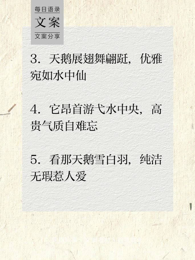 关于鹅的名言,关于鹅的名言名句-图1 关于鹅的名言,关于鹅的名言名句-图1
