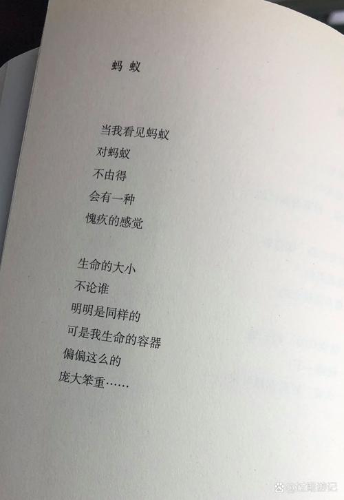 蚂蚁诗歌,蚂蚁诗歌现代诗-图1 蚂蚁诗歌,蚂蚁诗歌现代诗-图1