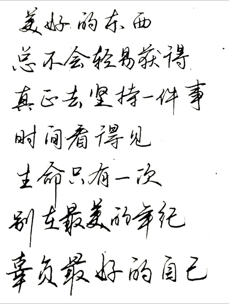 练好字的名言,练好字的名言警句-图3 练好字的名言,练好字的名言警句-图3