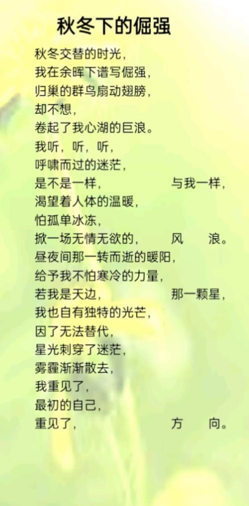 寻找诗歌，寻找诗歌原唱播放-图3