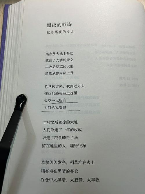 寻找诗歌，寻找诗歌原唱播放-图2