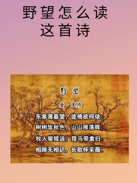 诗歌怎么阅读,诗歌如何阅读-图3 诗歌怎么阅读,诗歌如何阅读-图3