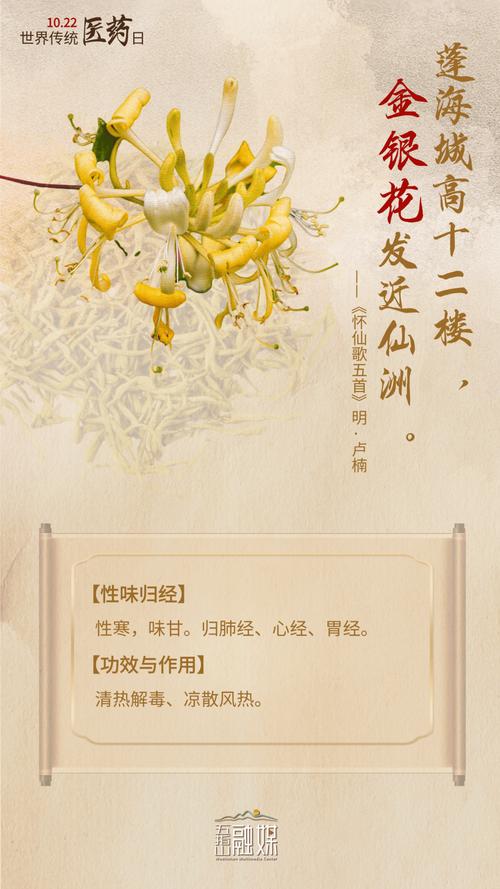 药房里的诗，藏着怎样的药与心？-图1