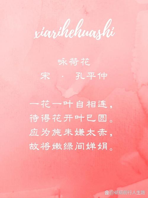 荷韵诗歌，荷韵经典古诗-图2