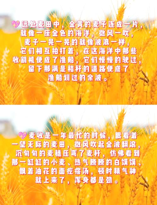 麦穗名言,麦穗的名言-图1 麦穗名言,麦穗的名言-图1