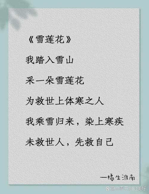 冰凌花的诗歌,冰凌花诗歌朗诵-图1 冰凌花的诗歌,冰凌花诗歌朗诵-图1