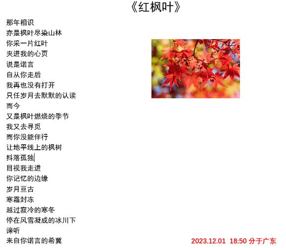 枫叶诗歌,枫叶诗歌自己写-图3 枫叶诗歌,枫叶诗歌自己写-图3