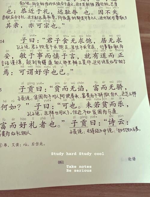 王充的名言,王充的名言不学不成-图3 王充的名言,王充的名言不学不成-图3