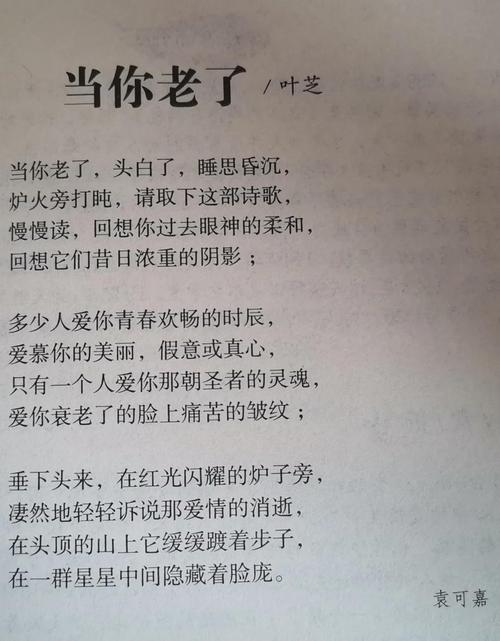 当你老了诗歌赏析，当你老了 诗歌鉴赏-图1