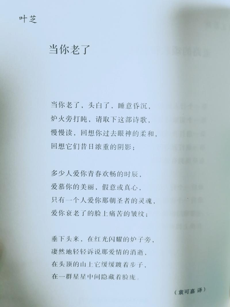 当你老了诗歌赏析，当你老了 诗歌鉴赏-图3