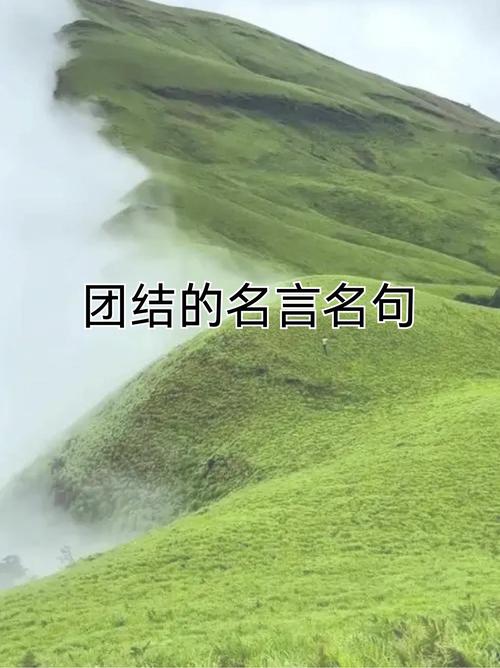 团结的的名言，团结的名言一根筷子-图1