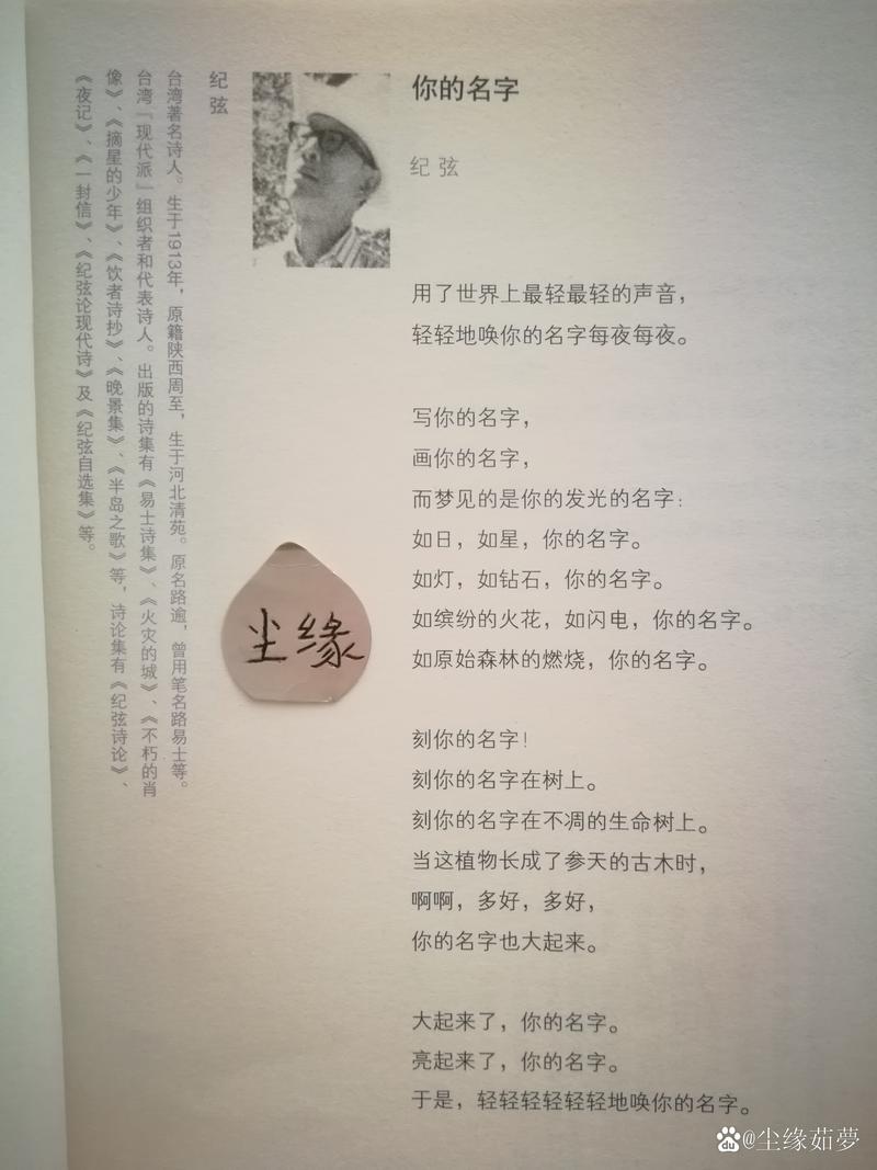 为何你的名字是诗歌?这名字藏着怎样的诗意与隐喻?它是否暗示着名字本身就是一首流动的诗,承载着独特的韵律与情感密码?-图2 为何你的名字是诗歌?这名字藏着怎样的诗意与隐喻?它是否暗示着名字本身就是一首流动的诗,承载着独特的韵律与情感密码?-图2