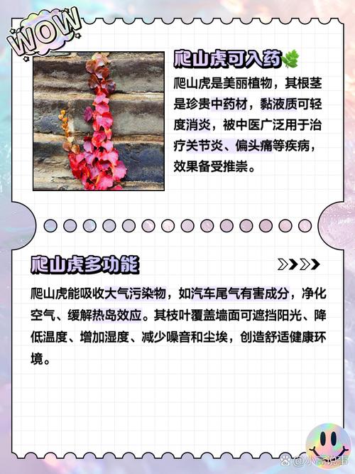 爬山虎名言,是自然哲思还是人类借物抒情的诗意投射?-图2 爬山虎名言,是自然哲思还是人类借物抒情的诗意投射?-图2