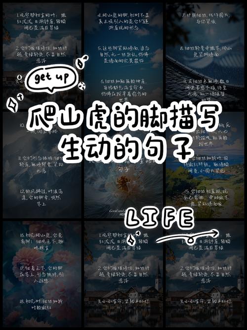 爬山虎名言,是自然哲思还是人类借物抒情的诗意投射?-图1 爬山虎名言,是自然哲思还是人类借物抒情的诗意投射?-图1