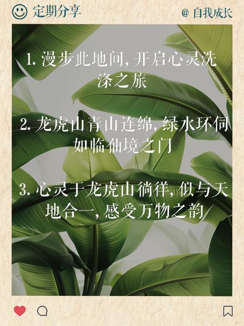 爬山虎名言,是自然哲思还是人类借物抒情的诗意投射?-图3 爬山虎名言,是自然哲思还是人类借物抒情的诗意投射?-图3