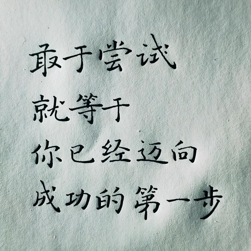 关于尝试的名言，关于尝试的名言名句-图3