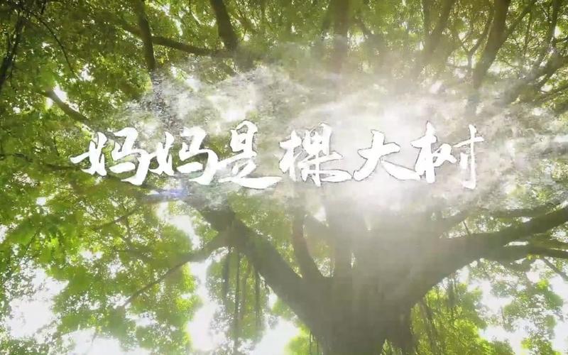 诗歌妈妈是棵大树,妈妈是棵大树朗-图1 诗歌妈妈是棵大树,妈妈是棵大树朗-图1