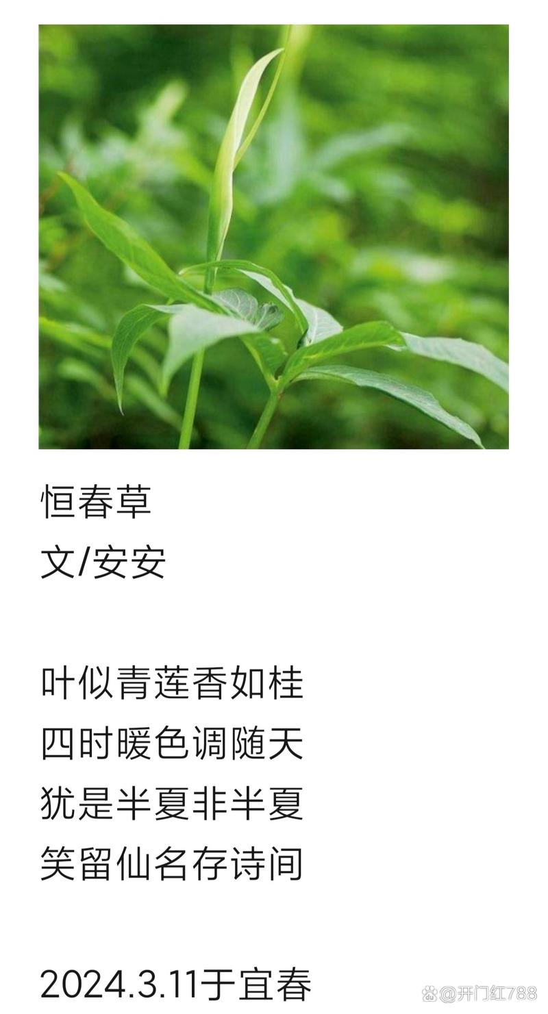 春草的诗歌,春草的诗歌有哪些-图3 春草的诗歌,春草的诗歌有哪些-图3