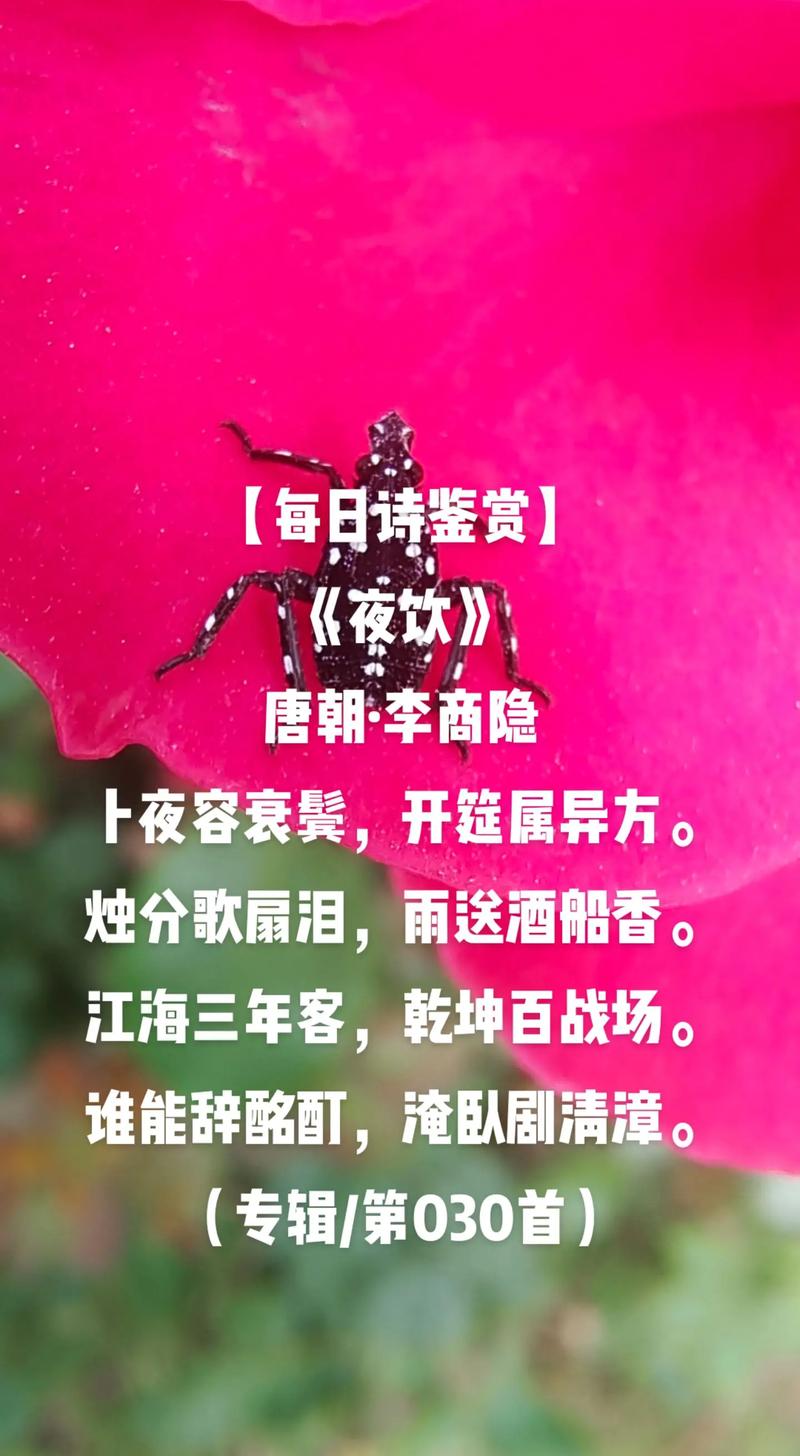 诗歌的歌,诗歌的歌曲有哪些-图3 诗歌的歌,诗歌的歌曲有哪些-图3