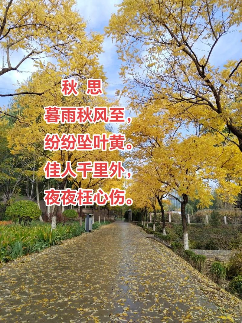 散文诗歌落叶,散文诗 落叶-图2 散文诗歌落叶,散文诗 落叶-图2