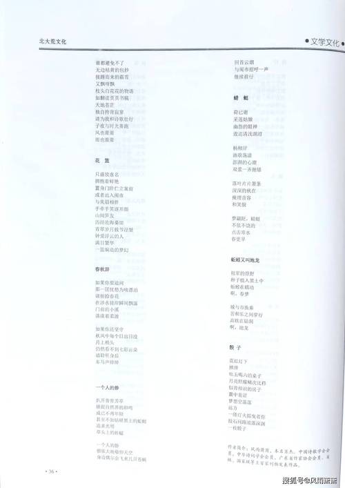 沉默的诗歌,沉默的诗歌仿写-图3 沉默的诗歌,沉默的诗歌仿写-图3