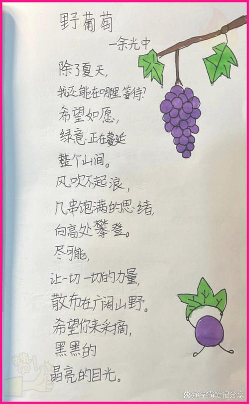 儿童现代经典诗歌-图3 儿童现代经典诗歌-图3