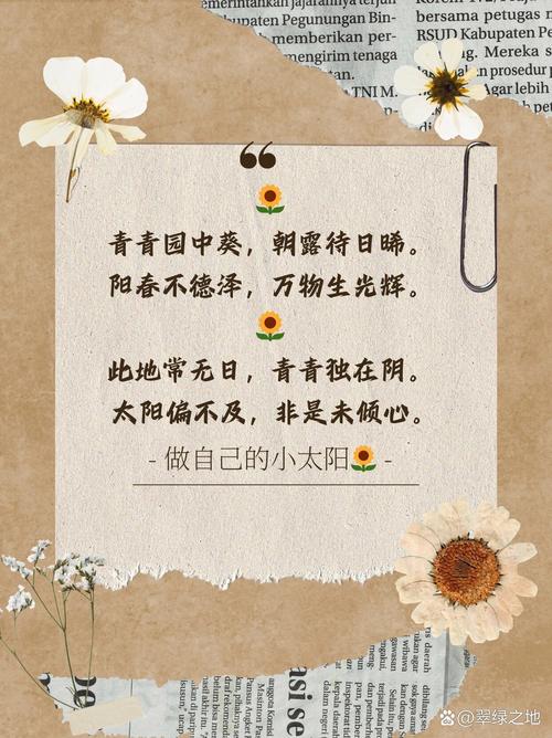 诗歌向日葵,诗歌向日葵原文-图2 诗歌向日葵,诗歌向日葵原文-图2