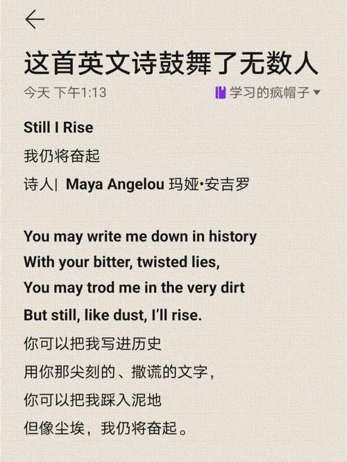 英文诗歌朗诵中,声音与情感的共鸣如何跨越语言障碍直达心灵?-图3 英文诗歌朗诵中,声音与情感的共鸣如何跨越语言障碍直达心灵?-图3