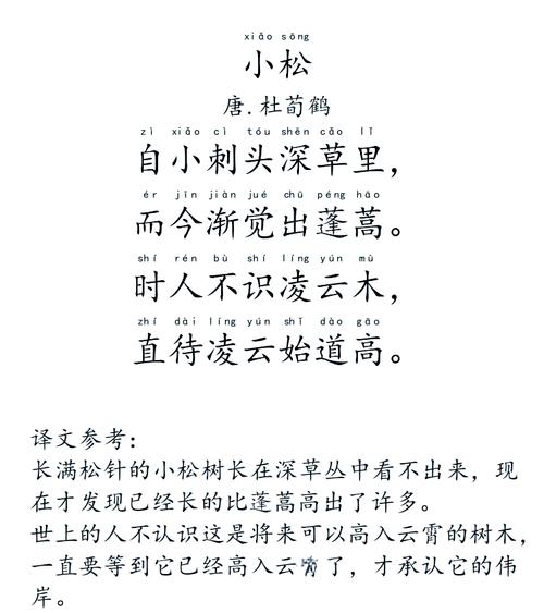 小松 诗歌,小松诗歌鉴赏-图2 小松 诗歌,小松诗歌鉴赏-图2