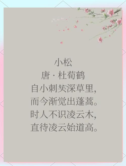 小松 诗歌,小松诗歌鉴赏-图3 小松 诗歌,小松诗歌鉴赏-图3