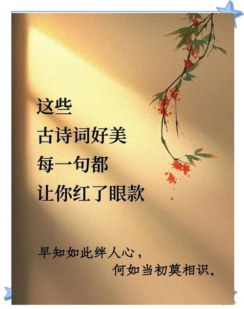 诗歌之情，诗歌之情,人寿几何-图3