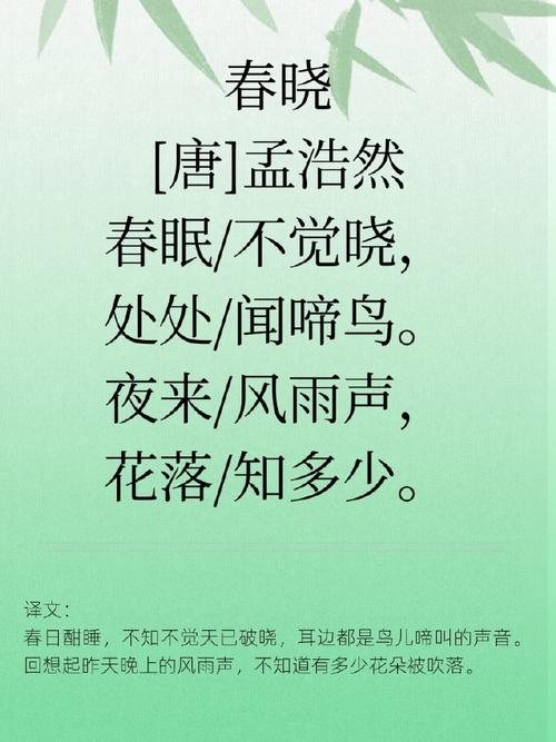 幼儿园里的春天诗歌,藏着孩子们怎样的童真想象与成长密码?-图1 幼儿园里的春天诗歌,藏着孩子们怎样的童真想象与成长密码?-图1