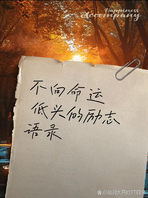 把握命运的名言警句，把握命运的名言警句有哪些-图2