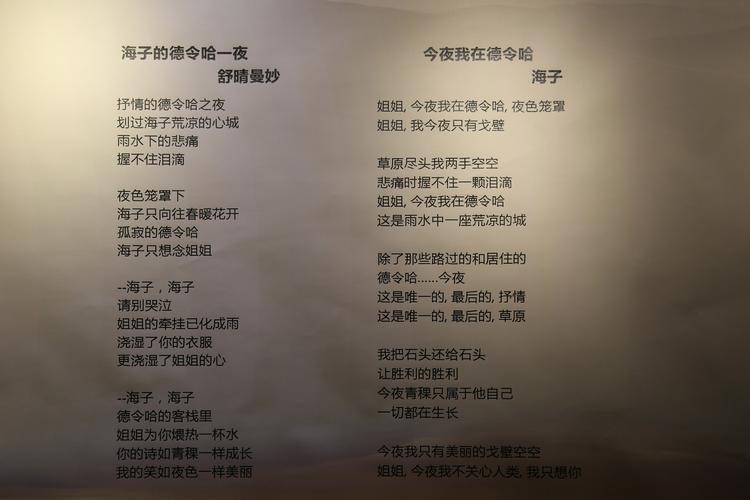 德令哈的诗歌，德令哈的诗歌有哪些-图1