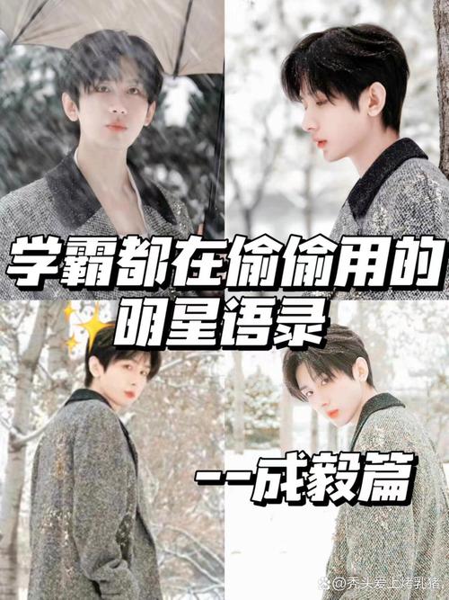 明星说名言，明星说的名言-图1