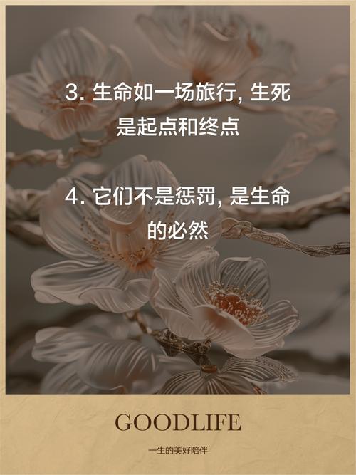 辐射名言，辐射名言名句-图3