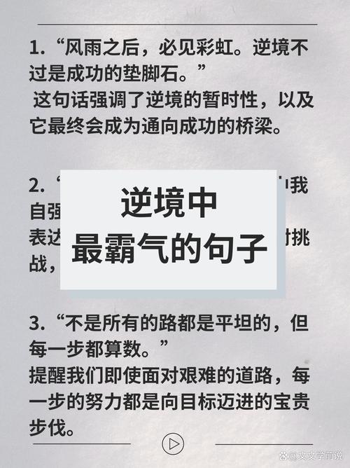 身处逆境的名言，身处逆境的名言名句-图2