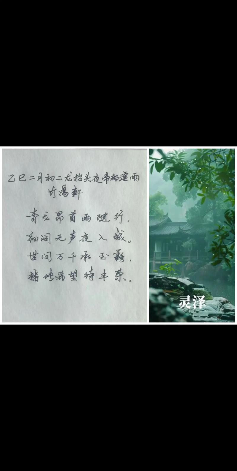 诗歌二月的雨，二月的雨歌词-图2