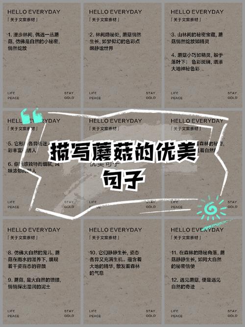 哪些名言警句，小蘑菇的举动让你想到哪些名言警句-图2