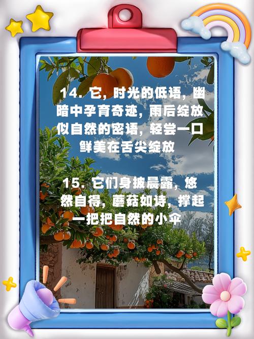 哪些名言警句，小蘑菇的举动让你想到哪些名言警句-图3