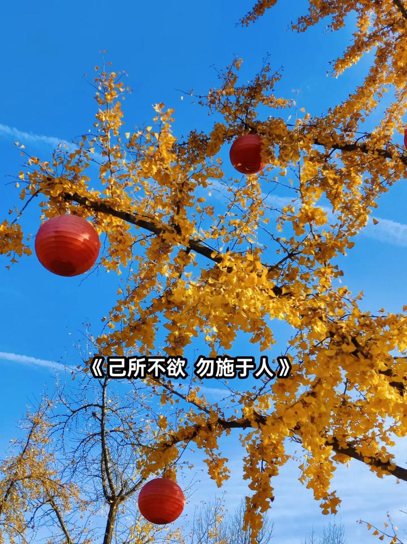 易中天经典名言,易中天经典名言名句大全-图2 易中天经典名言,易中天经典名言名句大全-图2