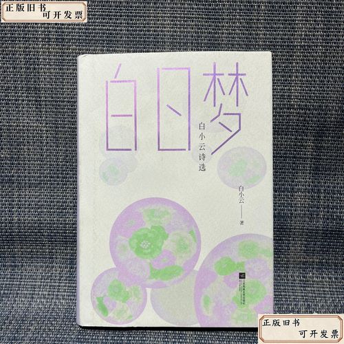 白日梦的诗意是幻影还是远方？-图1