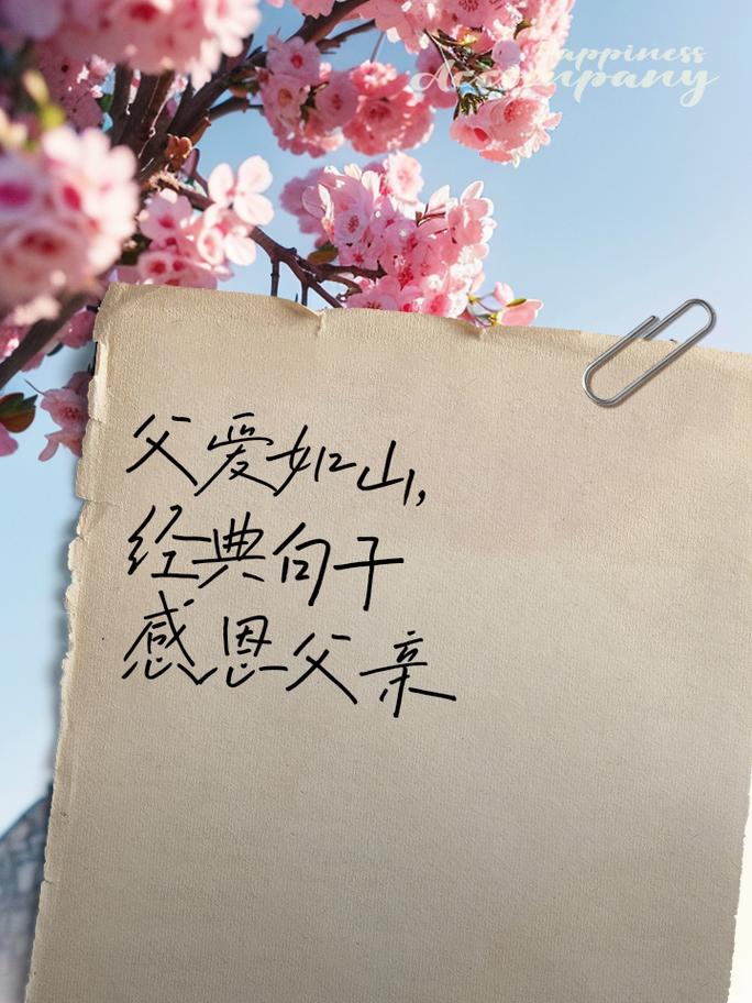 关于父亲的爱的名言，关于父亲的爱的名言警句-图3